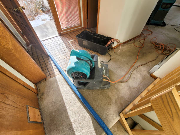 Trusted Water Damage Restoration in Satsuma, AL | Fast, Reliable, and Ready to Assist You